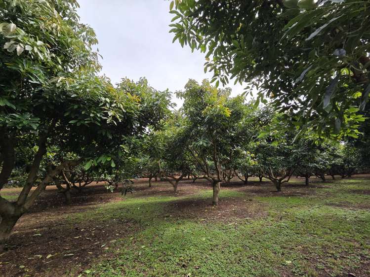 244 Beach Road Katikati_11