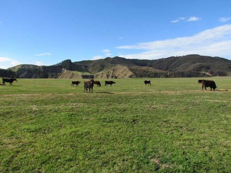 150 Lower Flag Range Road Sherenden_4