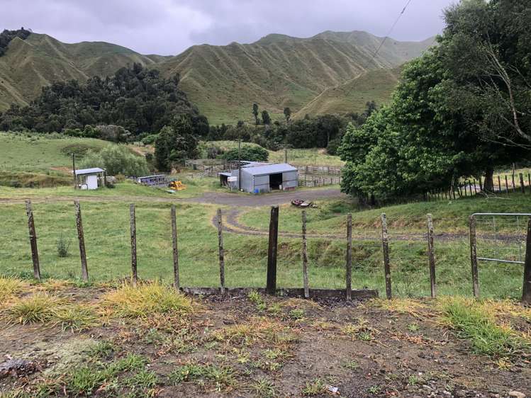 1041 Paparoa Road Whanganui National Park_5
