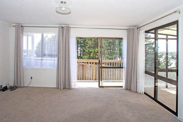 390C Richardson Road Mt Roskill_1