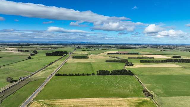 495. Thornbury Waimatuku Road Thornbury_3