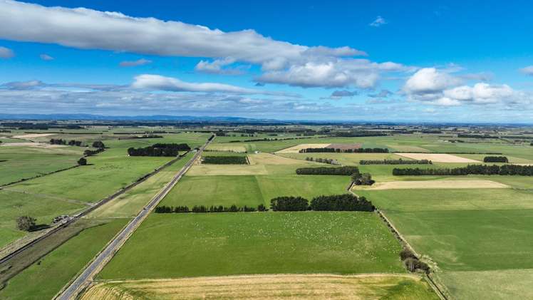 495. Thornbury Waimatuku Road Thornbury_3