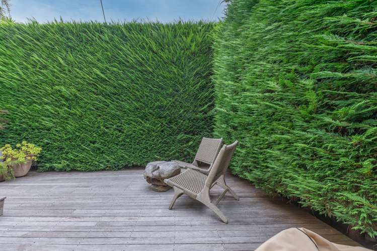 36a Bannerman Road Morningside_5