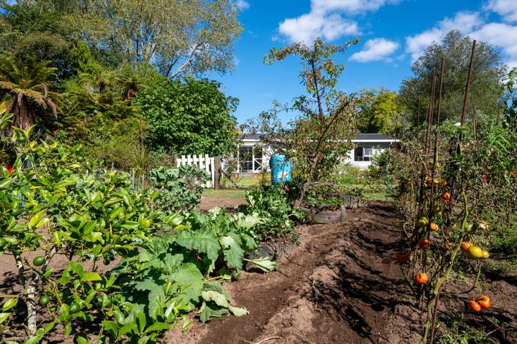 105A State Highway 30 Tikitere_35