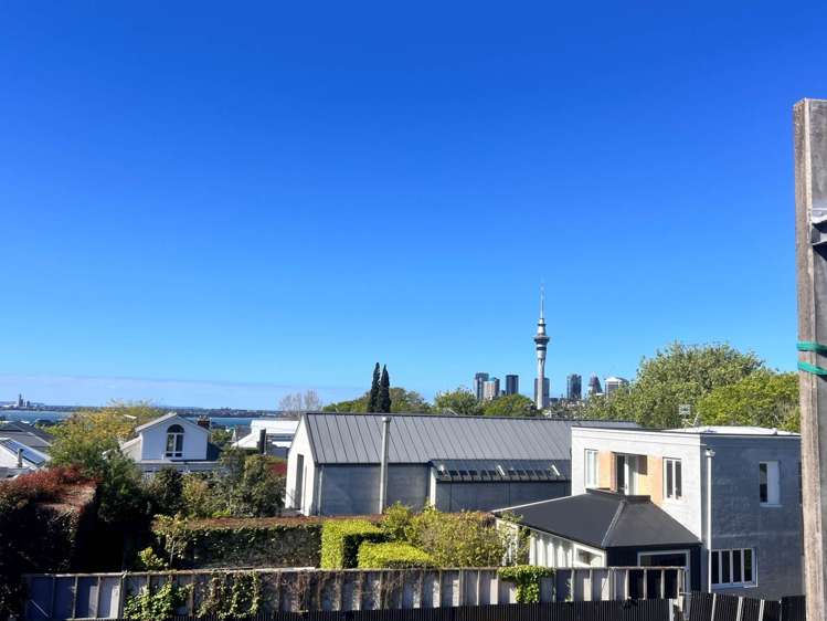 33 Ponsonby Road Grey Lynn_8