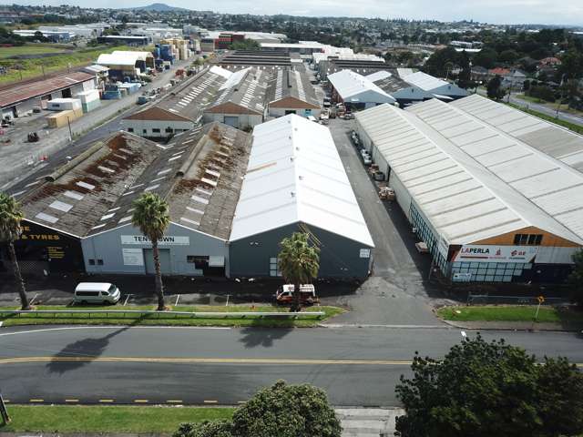 103 Jellicoe Road Panmure_4