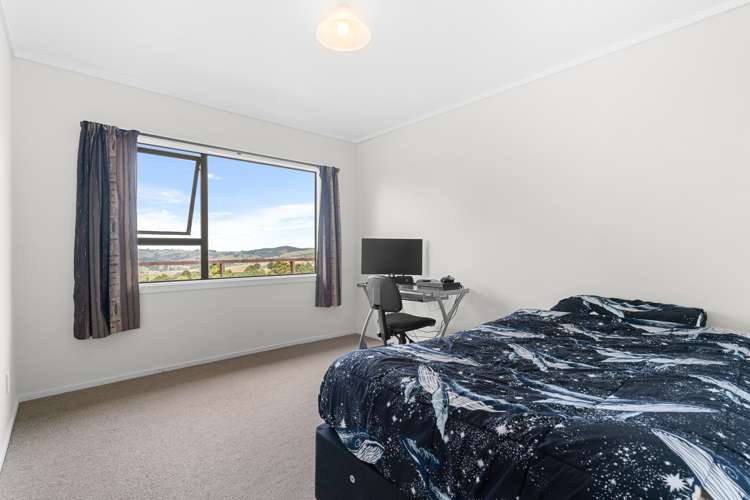 339 Mangatu Road Dargaville Surrounds_10