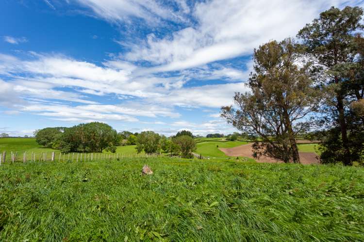 Waotu Road Putaruru_7