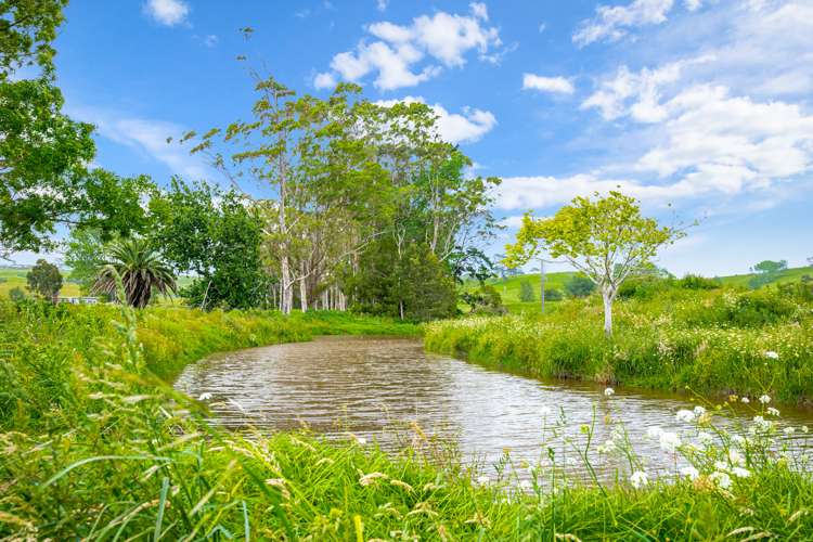 515 Kahikatea Flat Road Waitoki_38