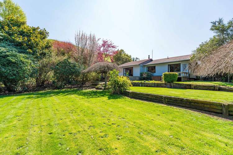 202 Whangamata Road Kinloch_4