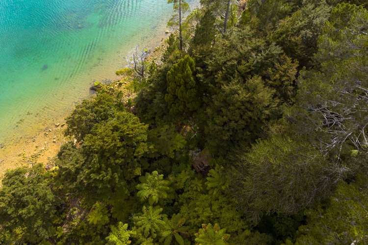 Lot 4 North West Bay Pelorus Sound_20