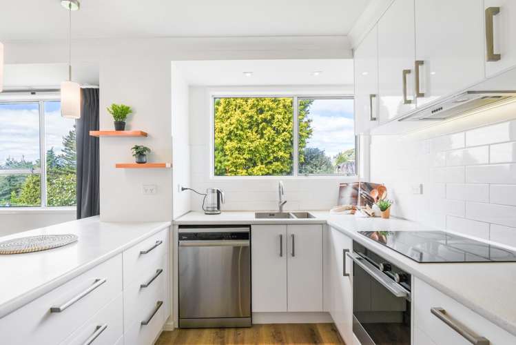 28 Utuhina Road Springfield_6