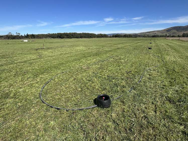 1147 Lumsden Dipton Highway Dipton_19