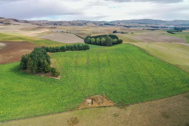 518 Elephant Hill Road Waimate_2