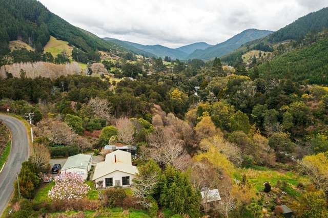 420 Wakamarina Road Canvastown_1