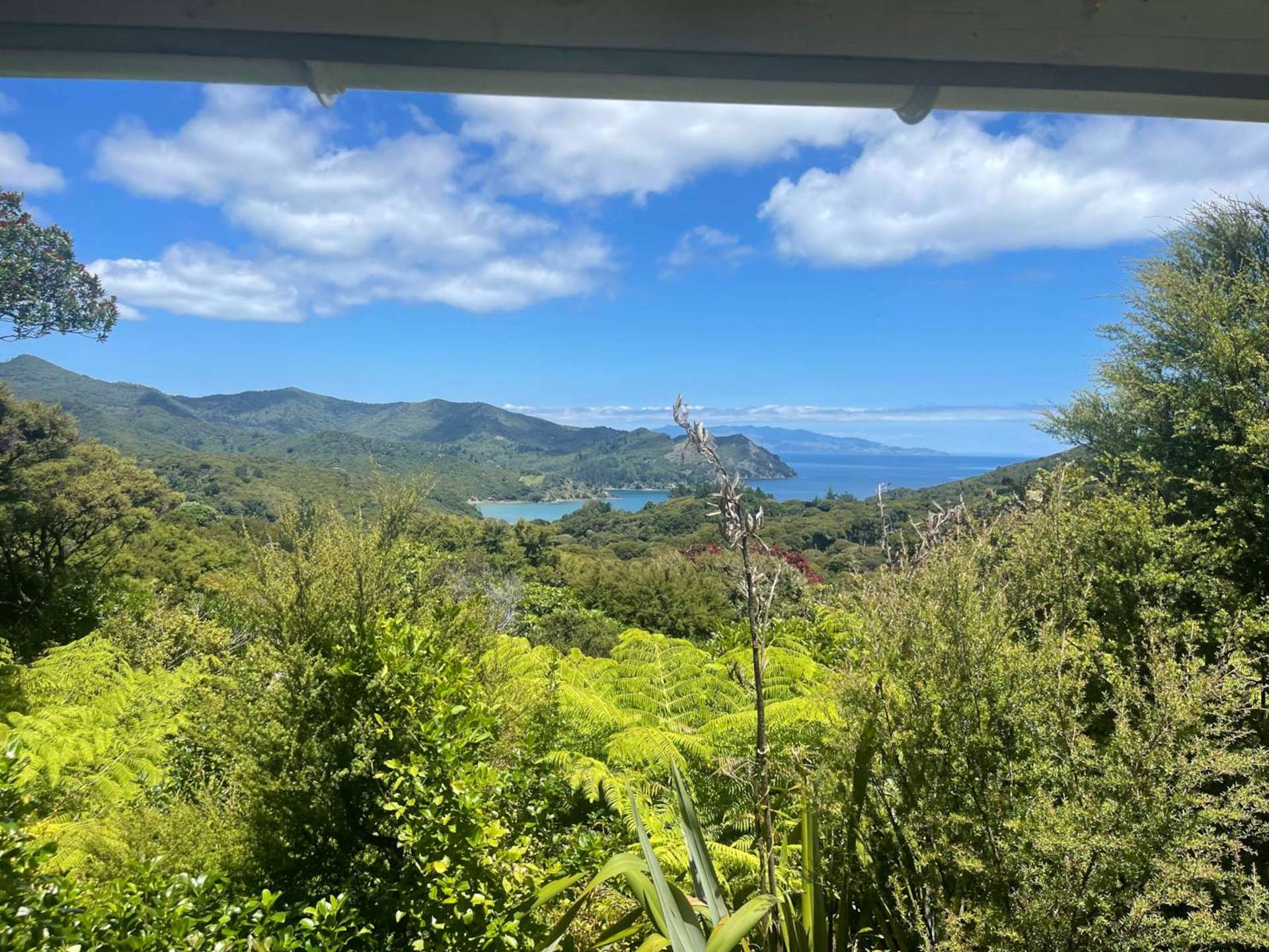 Lot 2, 244 Blind Bay Road Great Barrier Island_0