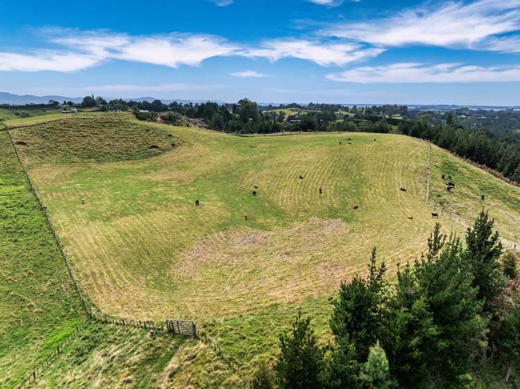 371 Esdaile Road Whakamarama_32