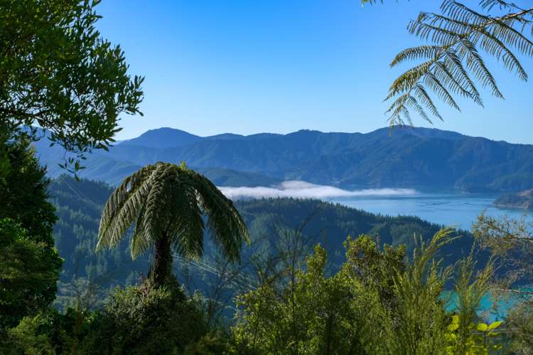 2464 Port Underwood Road Port Underwood_13