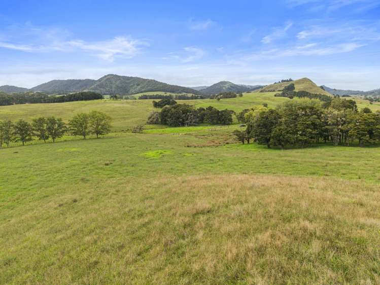 559 Old Kaipara Road Kaipara Flats_24