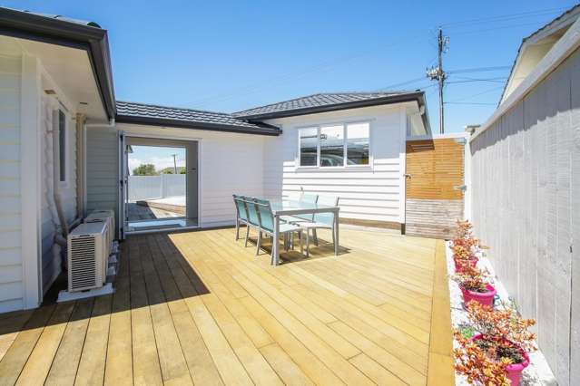 155 Astley Avenue New Lynn_3