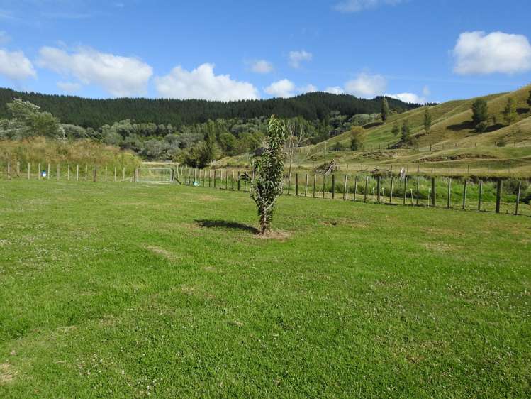 232 Darwin Road Outer Kaiti_3