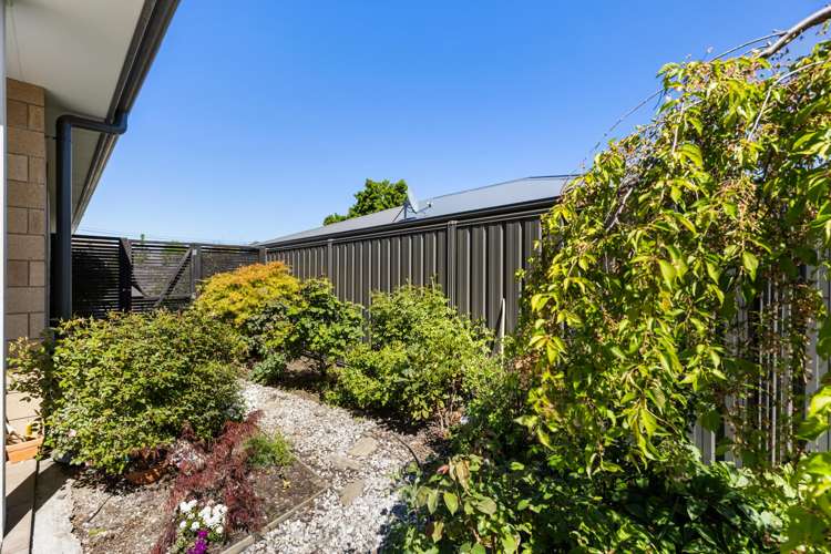 31A Donegal Street Cromwell_20