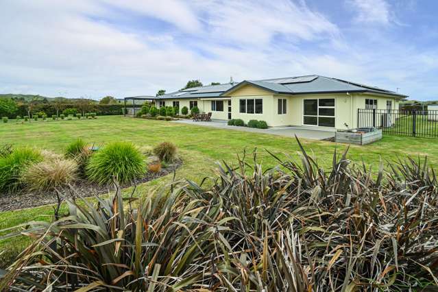 456 Dartmoor Road Puketapu_3