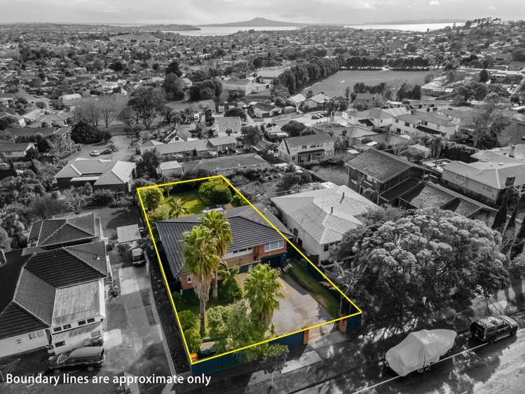 25 Bradbury Road Botany Downs_0
