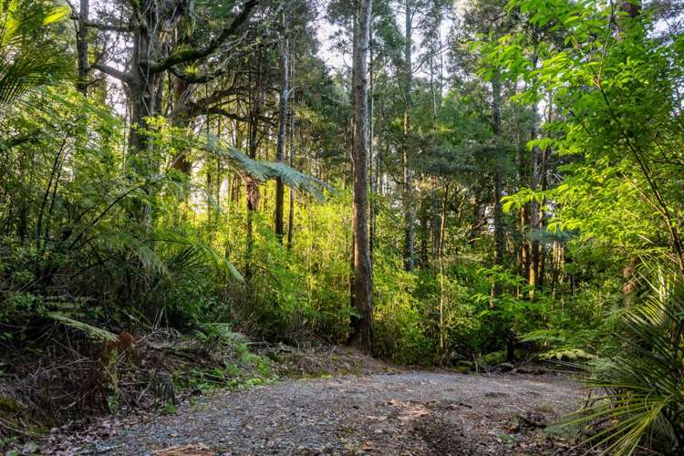 Lots 1 & 2 Carters Road West Mangawhai_22