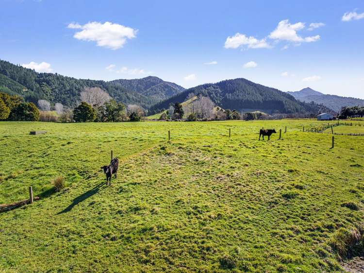 253 Ronga Road Rai Valley_25