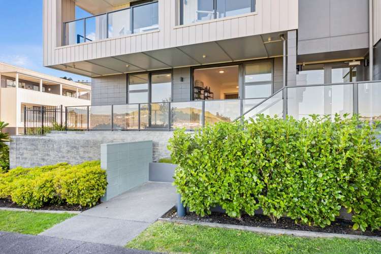 03/189g Barbarich Drive Stonefields_4