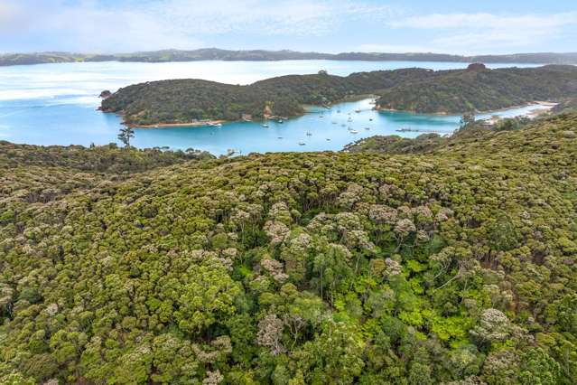 Lot 7 Smelting House Bay Kawau Island_3