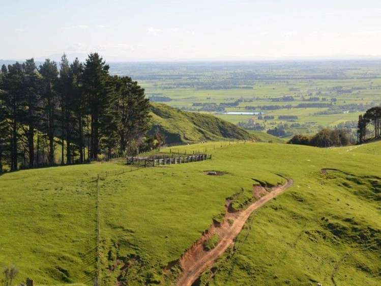 153 Hill Road Te Aroha_9