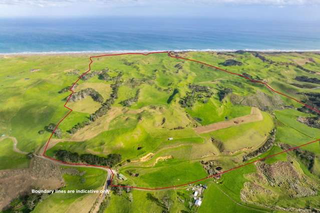 Coastal beef finishing opportunity - 162.56ha