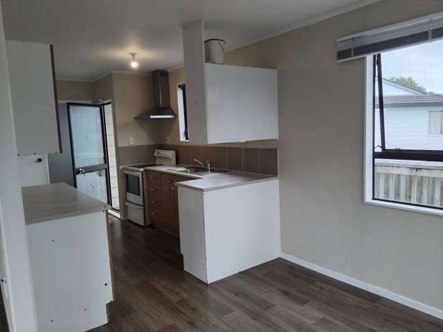 42 Hassan Drive Massey_2