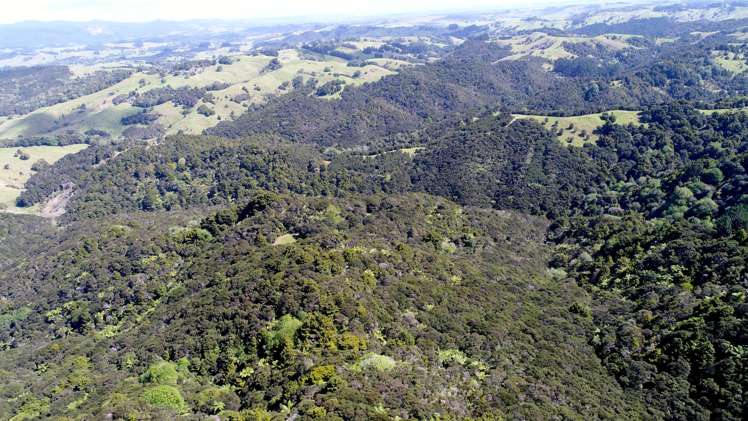 485 Fisher-Riley Road Kaitaia_1