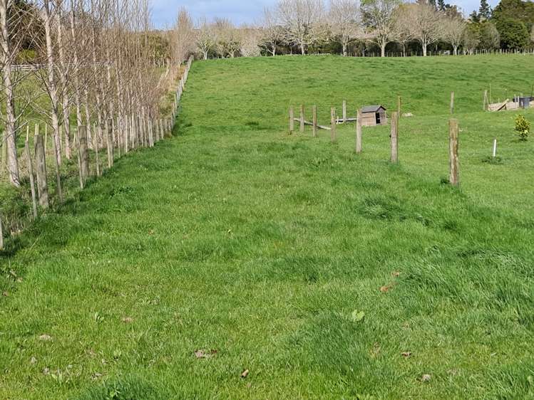 166h Postman Road Dairy Flat_5