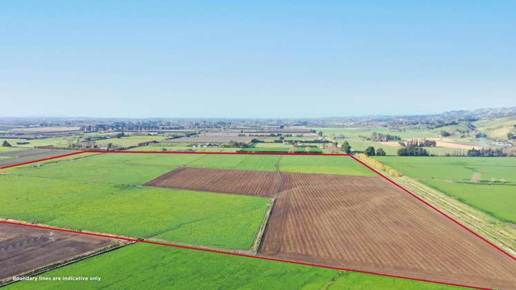 85 West Road Havelock North_6