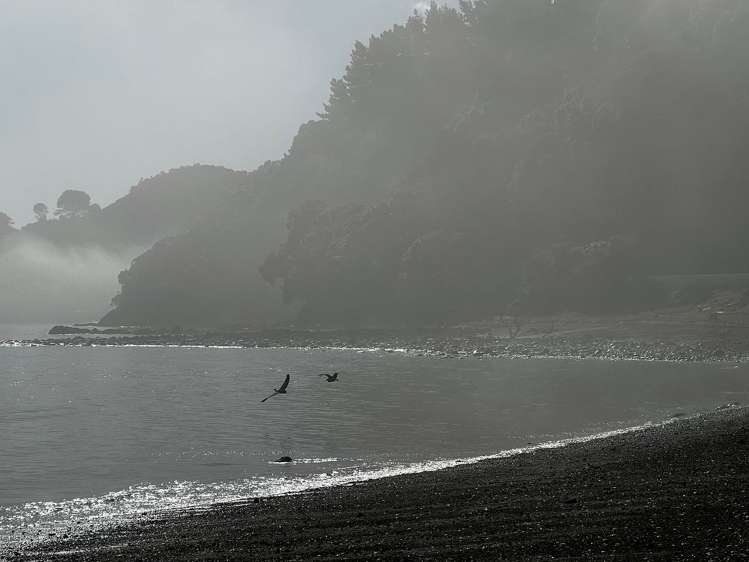 4 Jean Road Te Mata_22