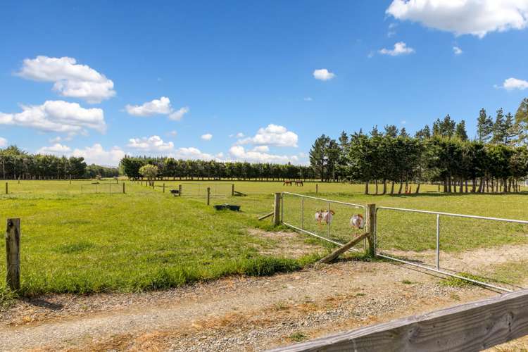 87 Balcairn Amberley Road, Balcairn Amberley_19