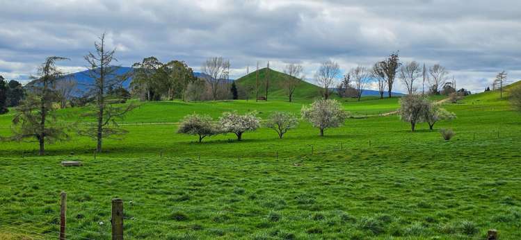 83 Brett Road Rerewhakaaitu_11