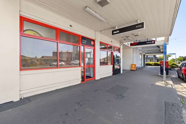 232 Ruahine Street Roslyn_4