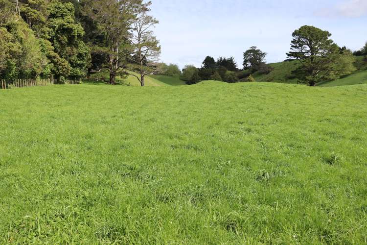 Lt2/310 Henwood Road Bell Block_12