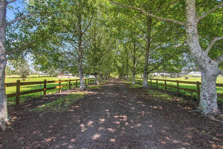 1304 Glenbrook Road Glenbrook_18