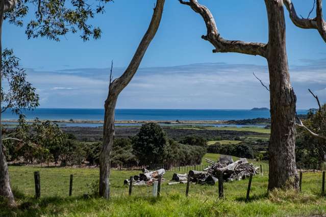 Beautiful Wide Vista