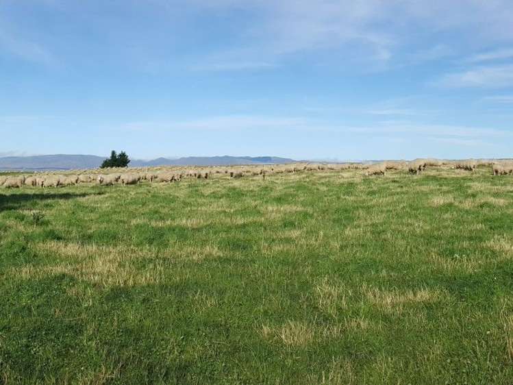 295 Wallaces Ford Road Hindon_7