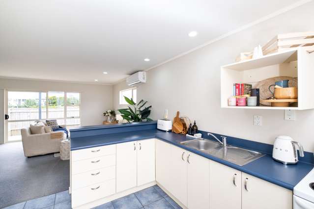 12B McVay Street Napier South_4