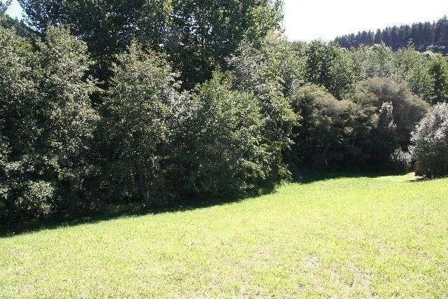 4 Governors Heights Whangamata_4