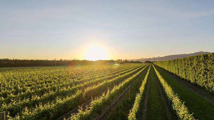 2124 State Highway 1 Spring Creek_34