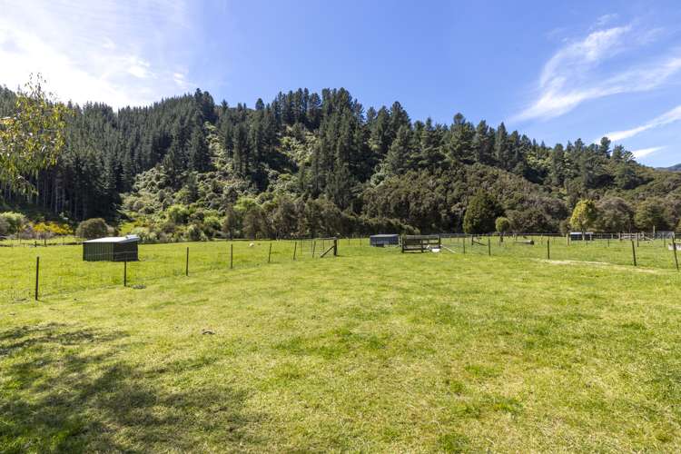 132 Mount Riley Road Havelock_20